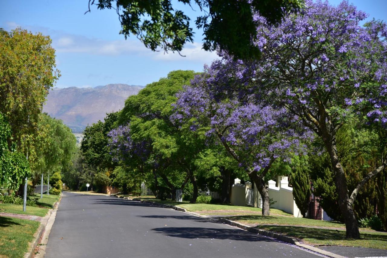 YEBO Boutique Guesthouse Somerset West Extérieur photo